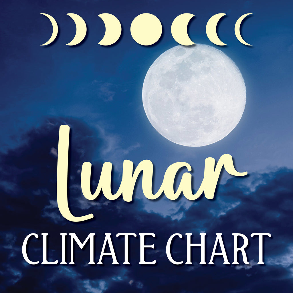 2024 Lunar Climate Chart Cross Stitch Kit - Dark