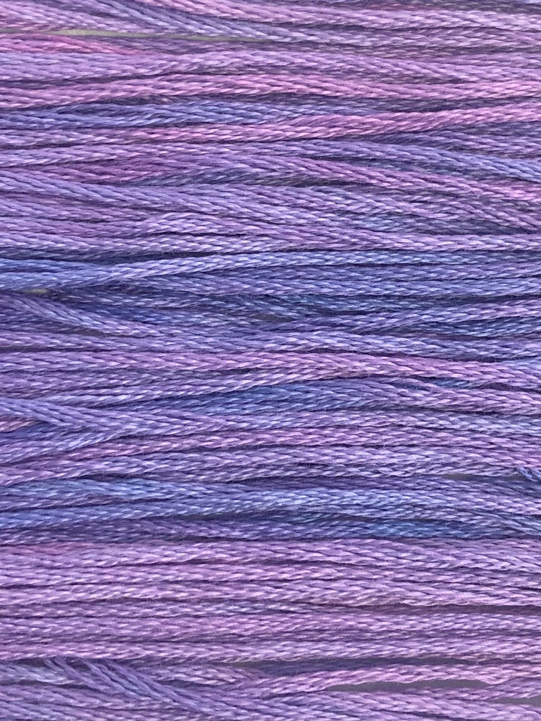 504 Purple Rain (Thread)