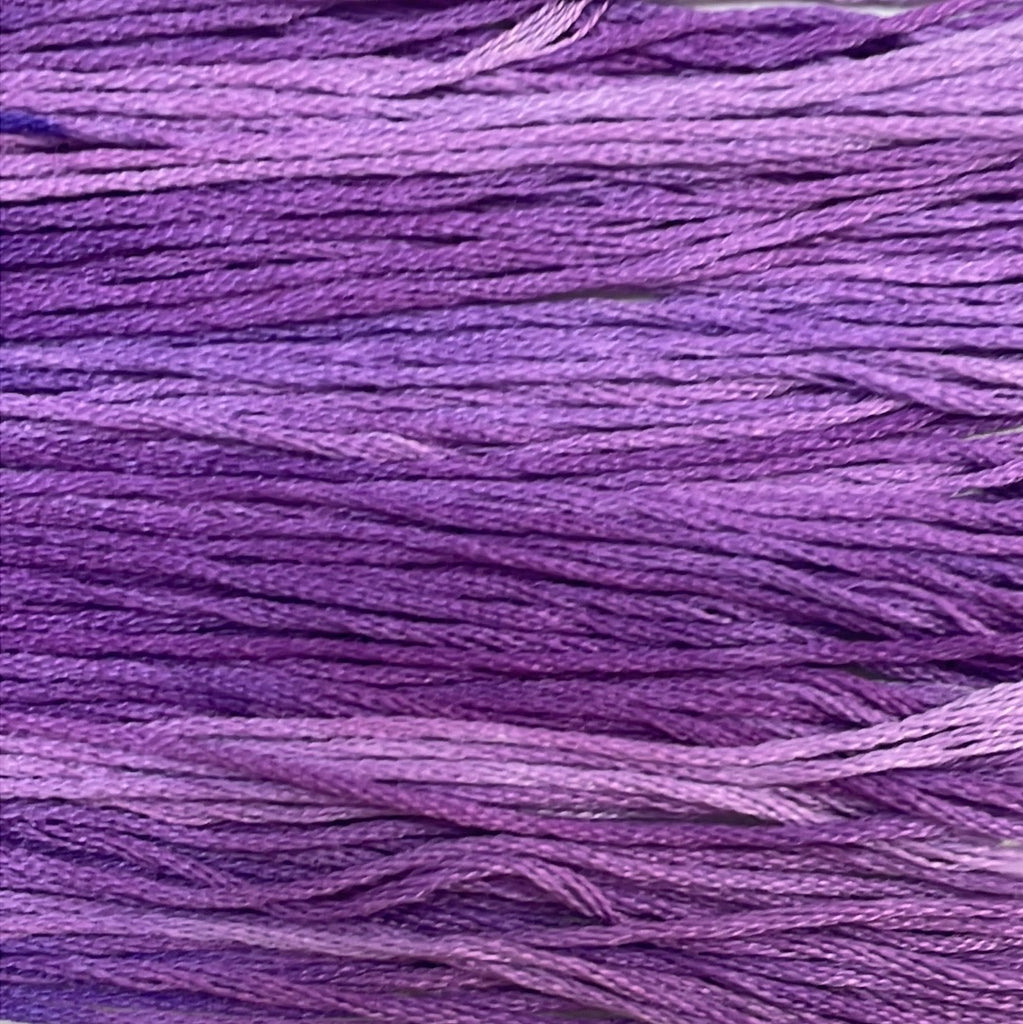 521 - Purpureus (Thread)