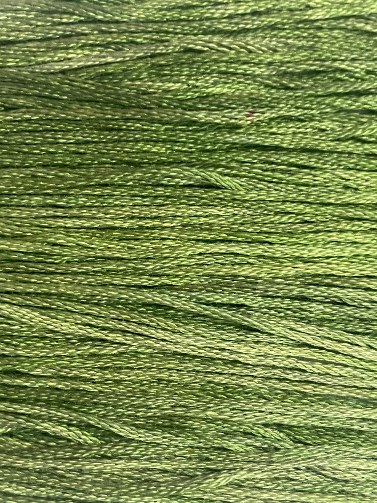 336 - Everglades (Thread)