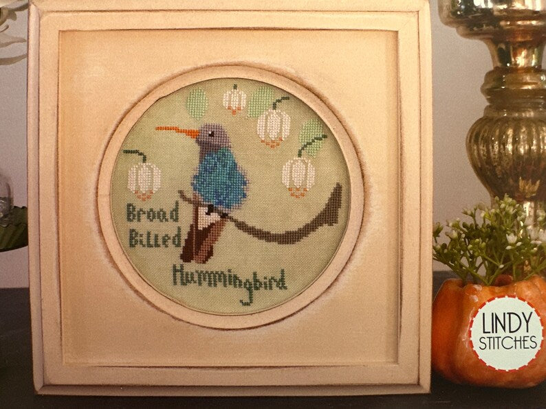 Broad - Billed Hummingbird