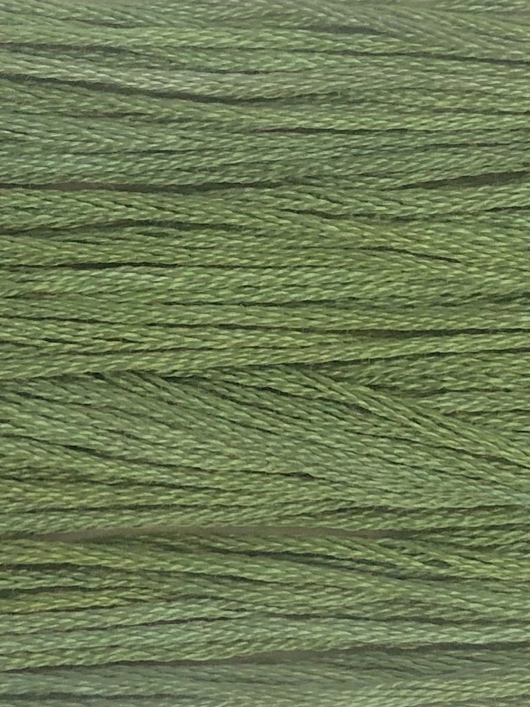 301 Sage (Thread)