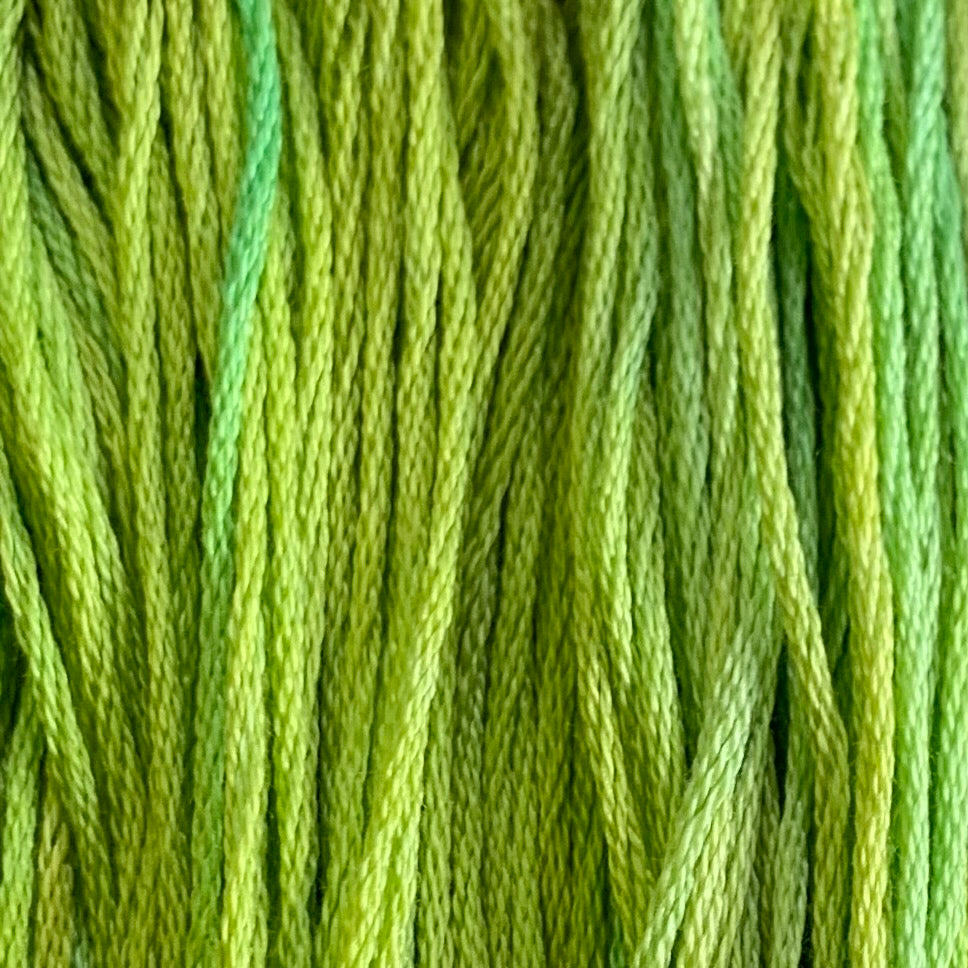 308 Celery (Thread)