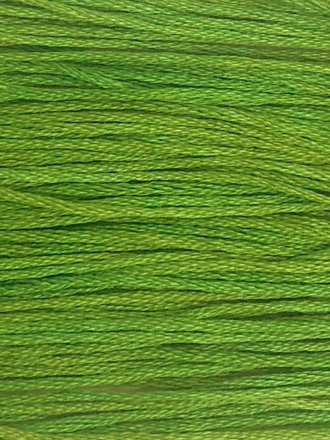 305 Pickle (Thread)