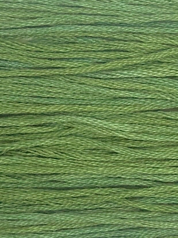 306 Fern (Thread)
